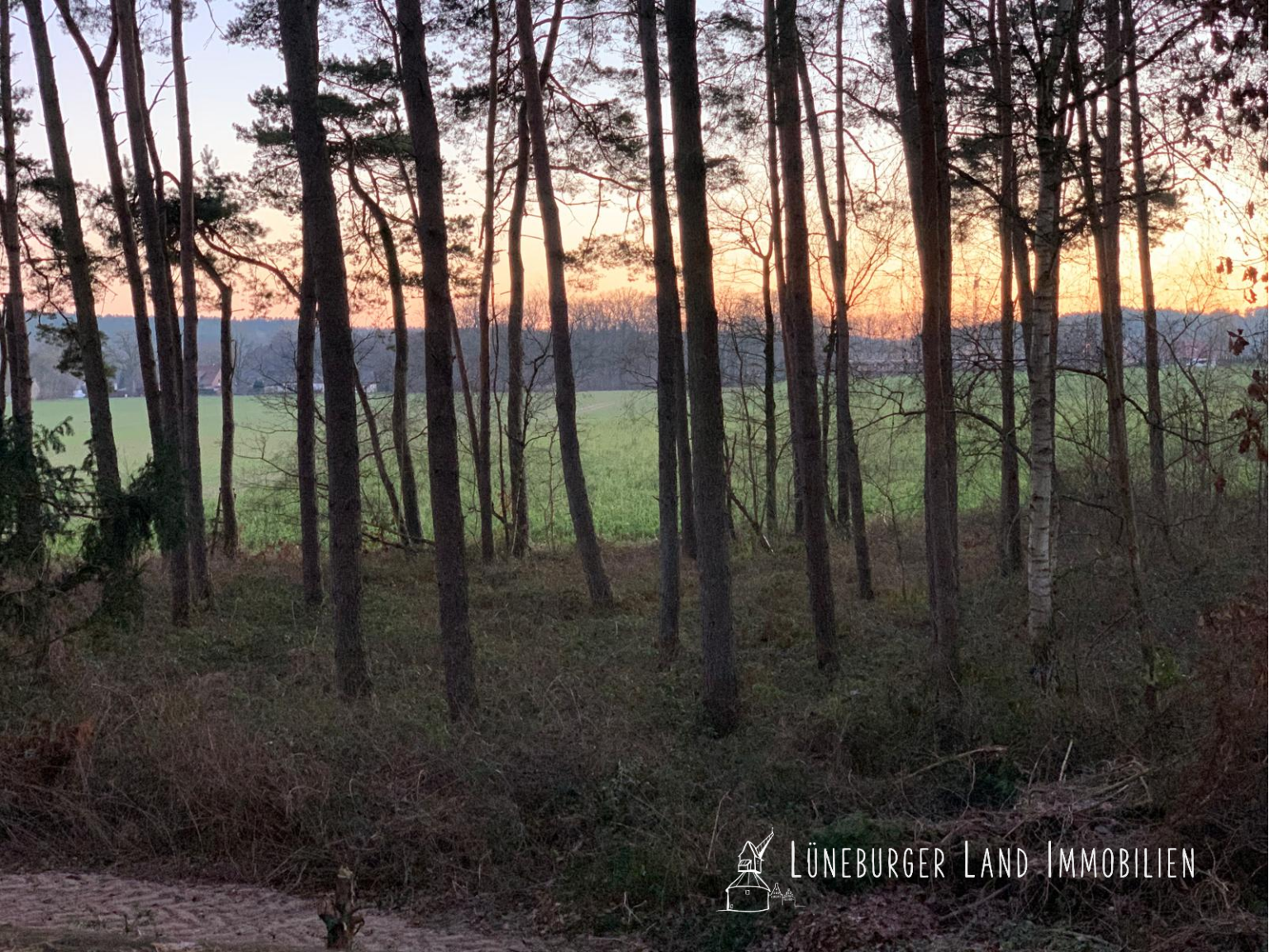 Ausblick mit Morgenrot