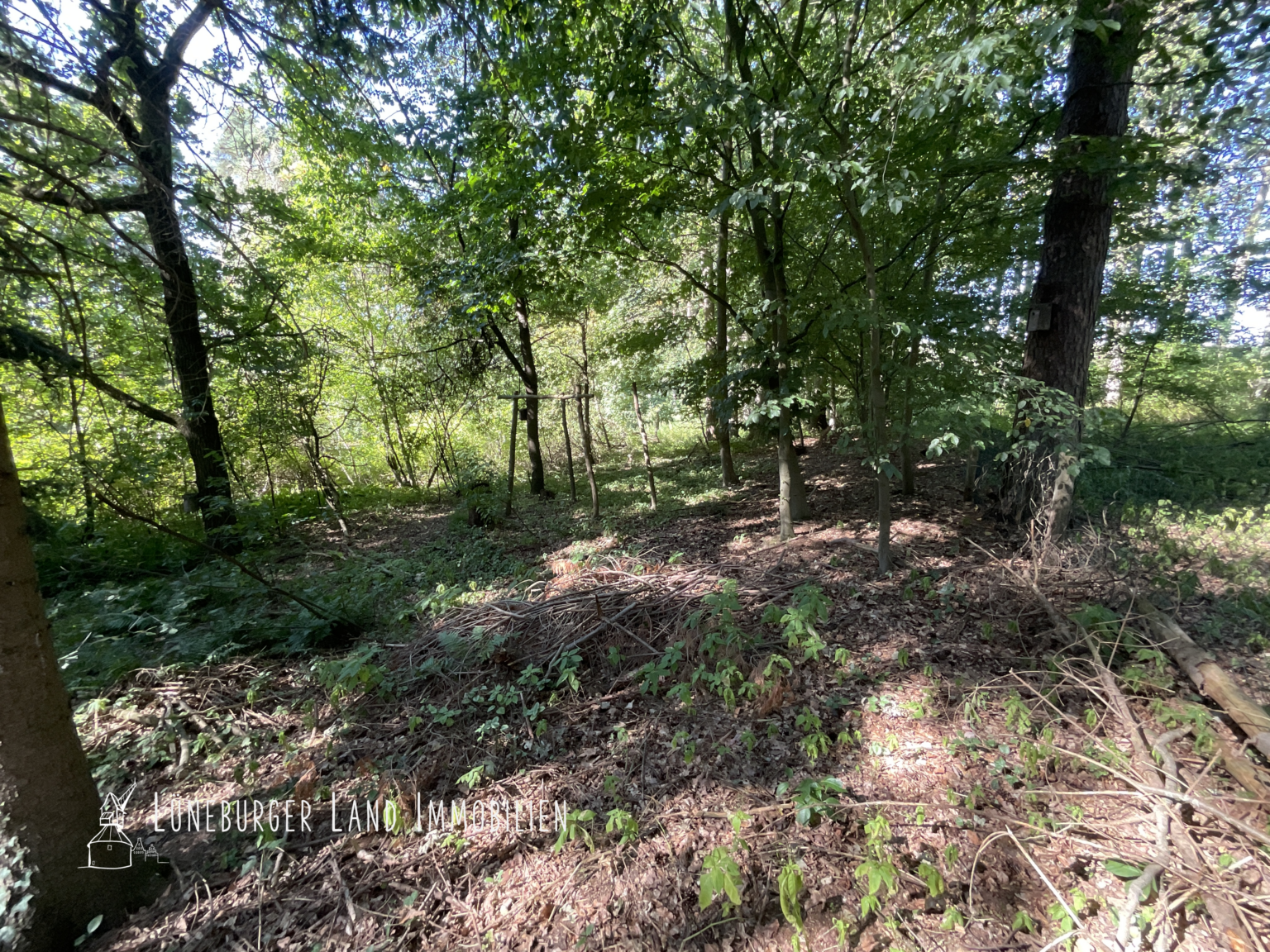 Ihr eigener Wald