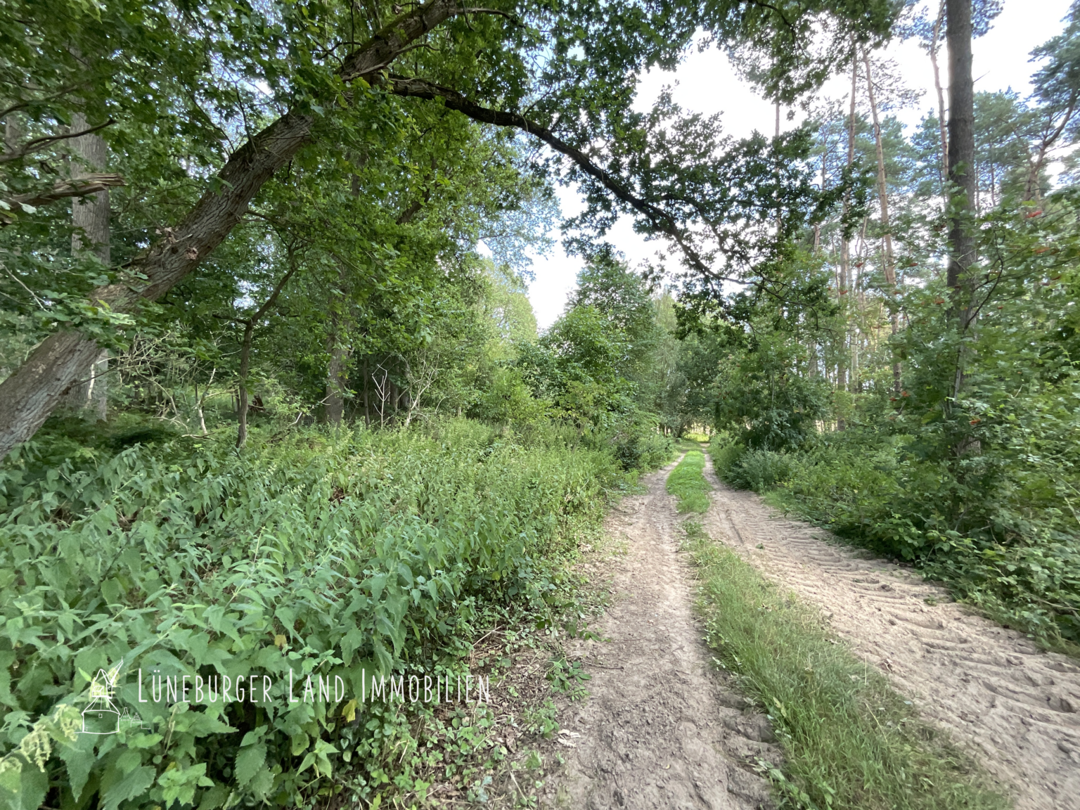 Natur pur