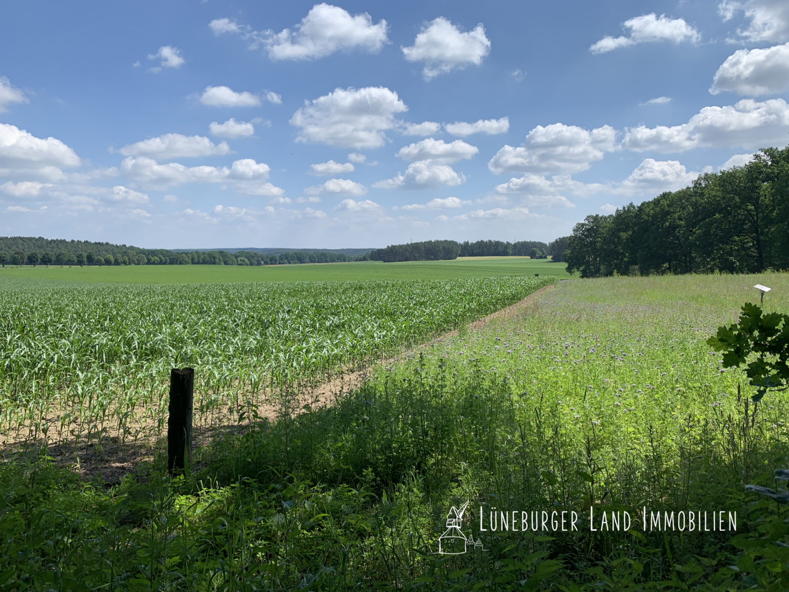 Umgeben von Feldern und Wald